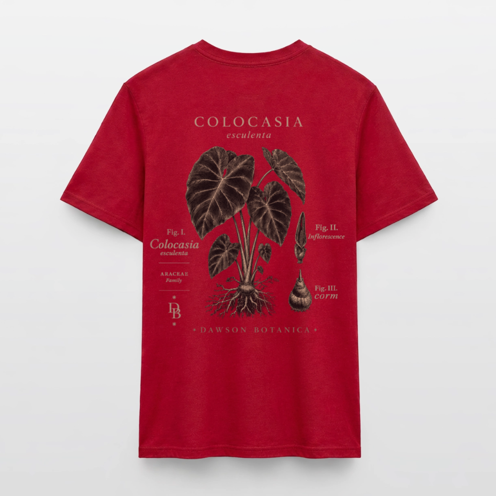 T-shirt Botanique Colocasia esculenta - rouge