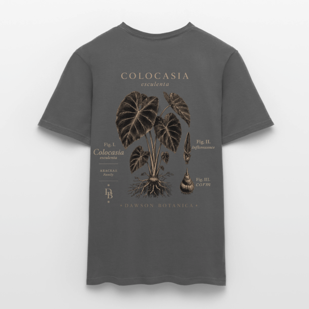 T-shirt Botanique Colocasia esculenta - charbon