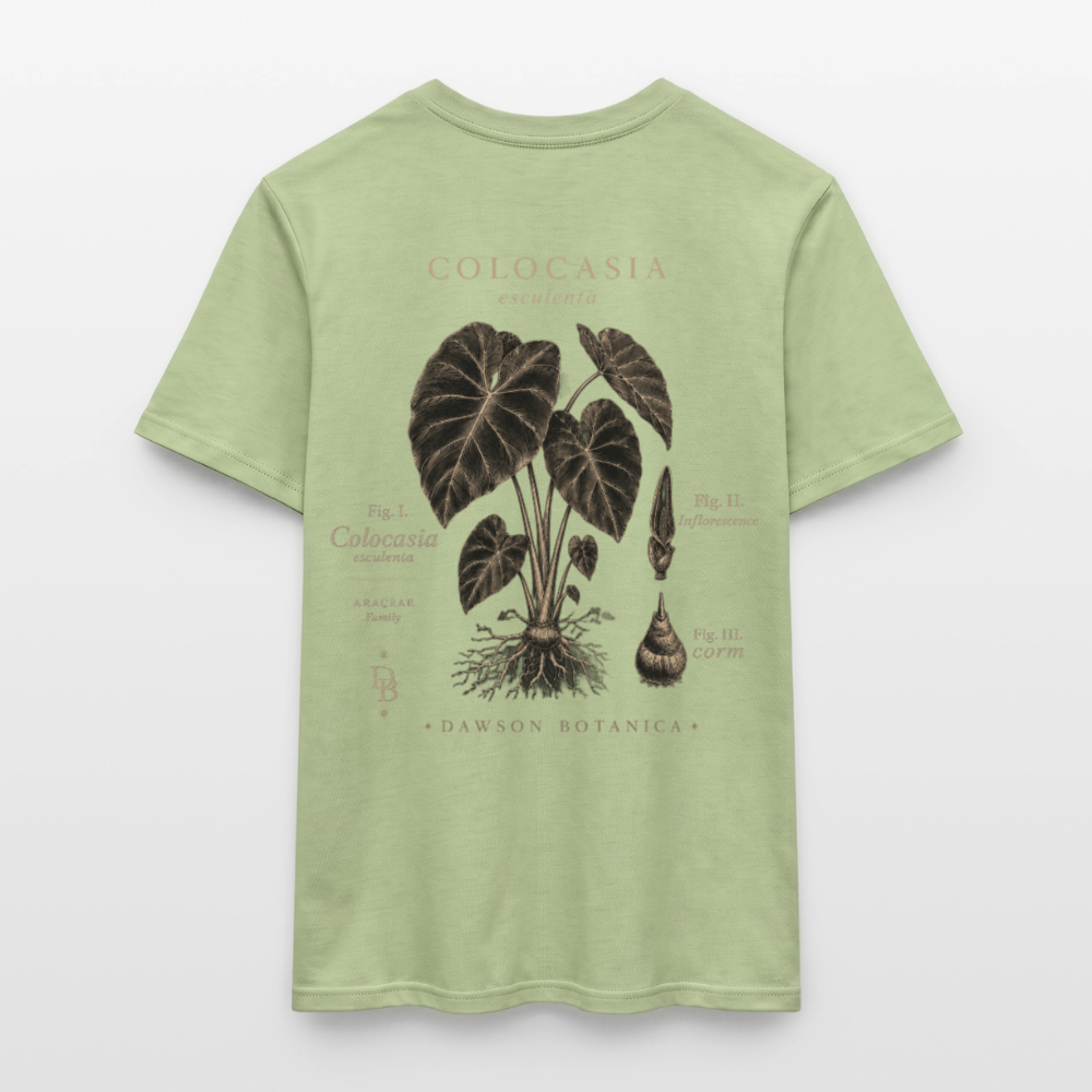 T-shirt Botanique Colocasia esculenta - vert sauge