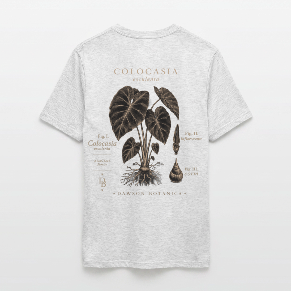 T-shirt Botanique Colocasia esculenta - gris chiné