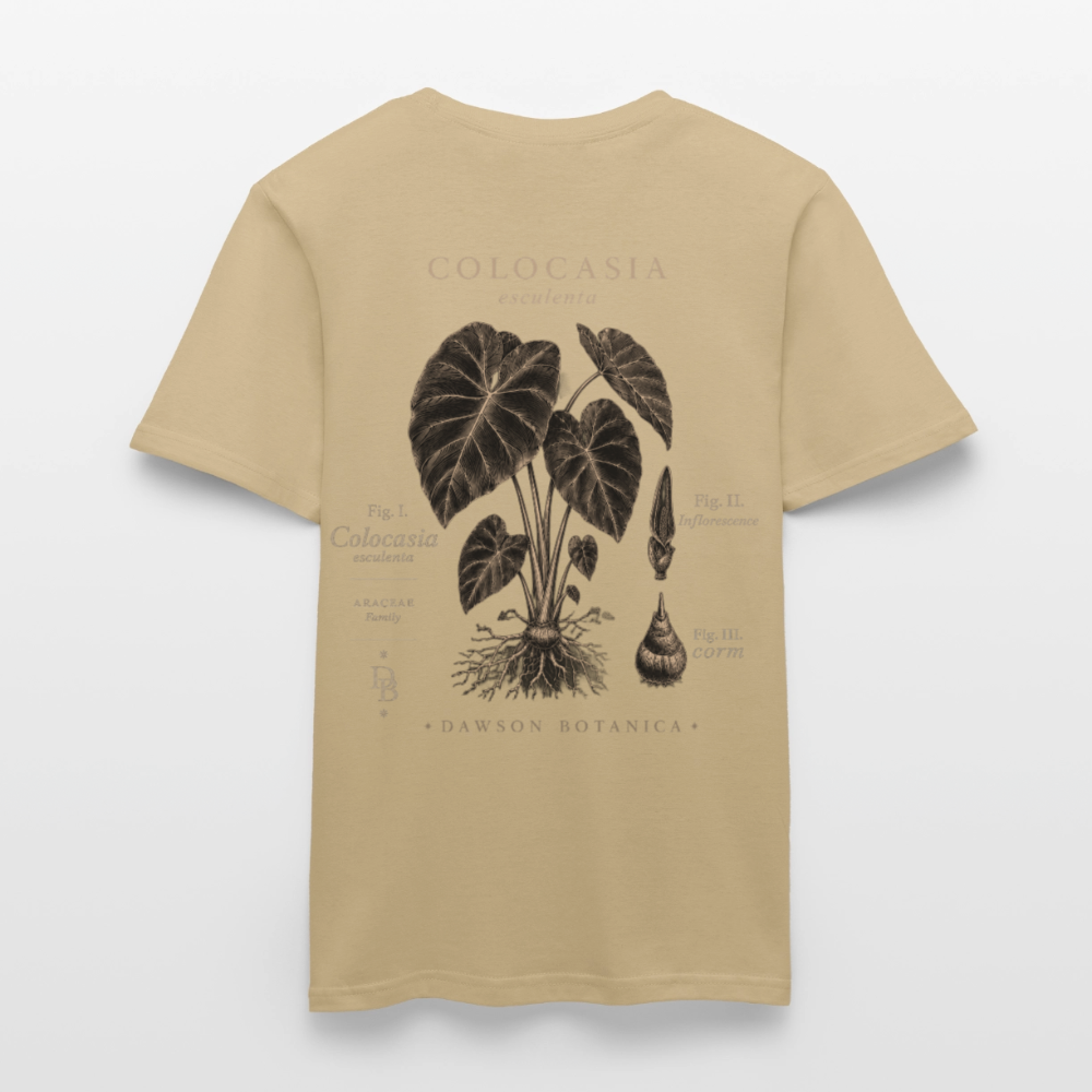 T-shirt Botanique Colocasia esculenta - beige sable