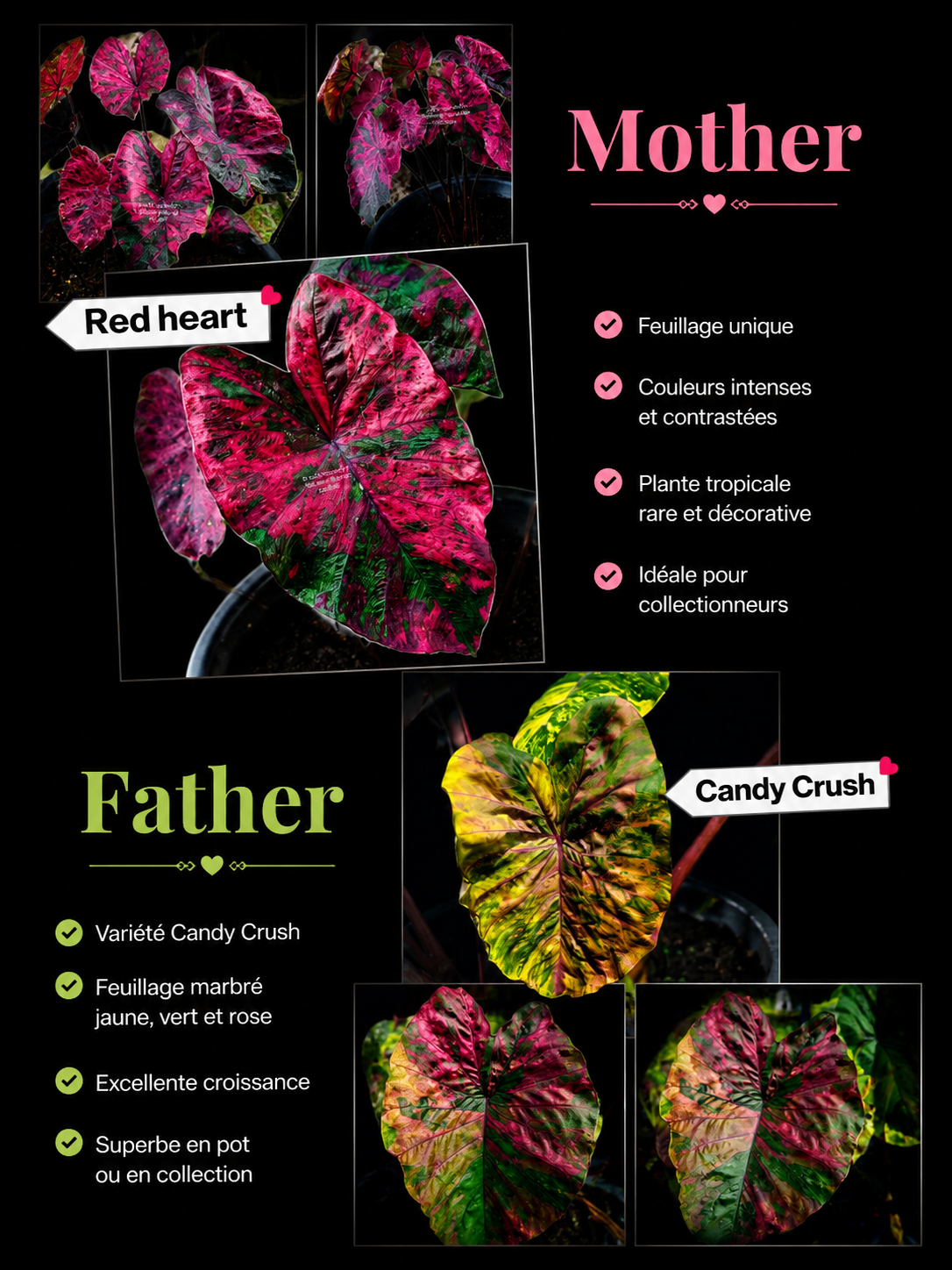 Red heart X candy crush