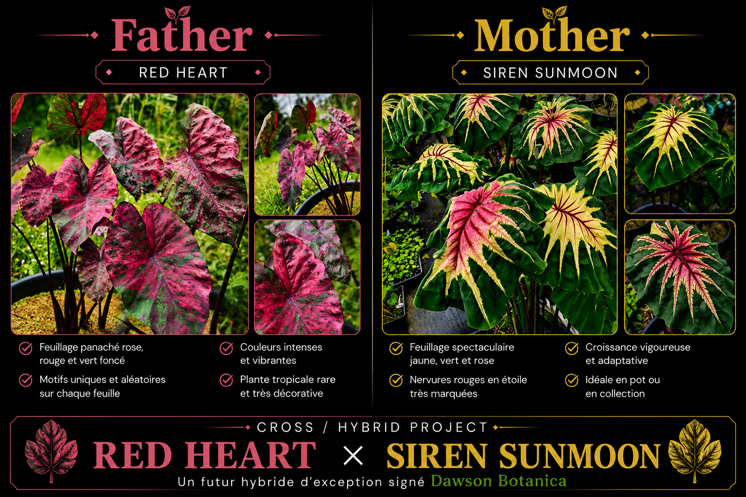 red heart X siren sunmoon
