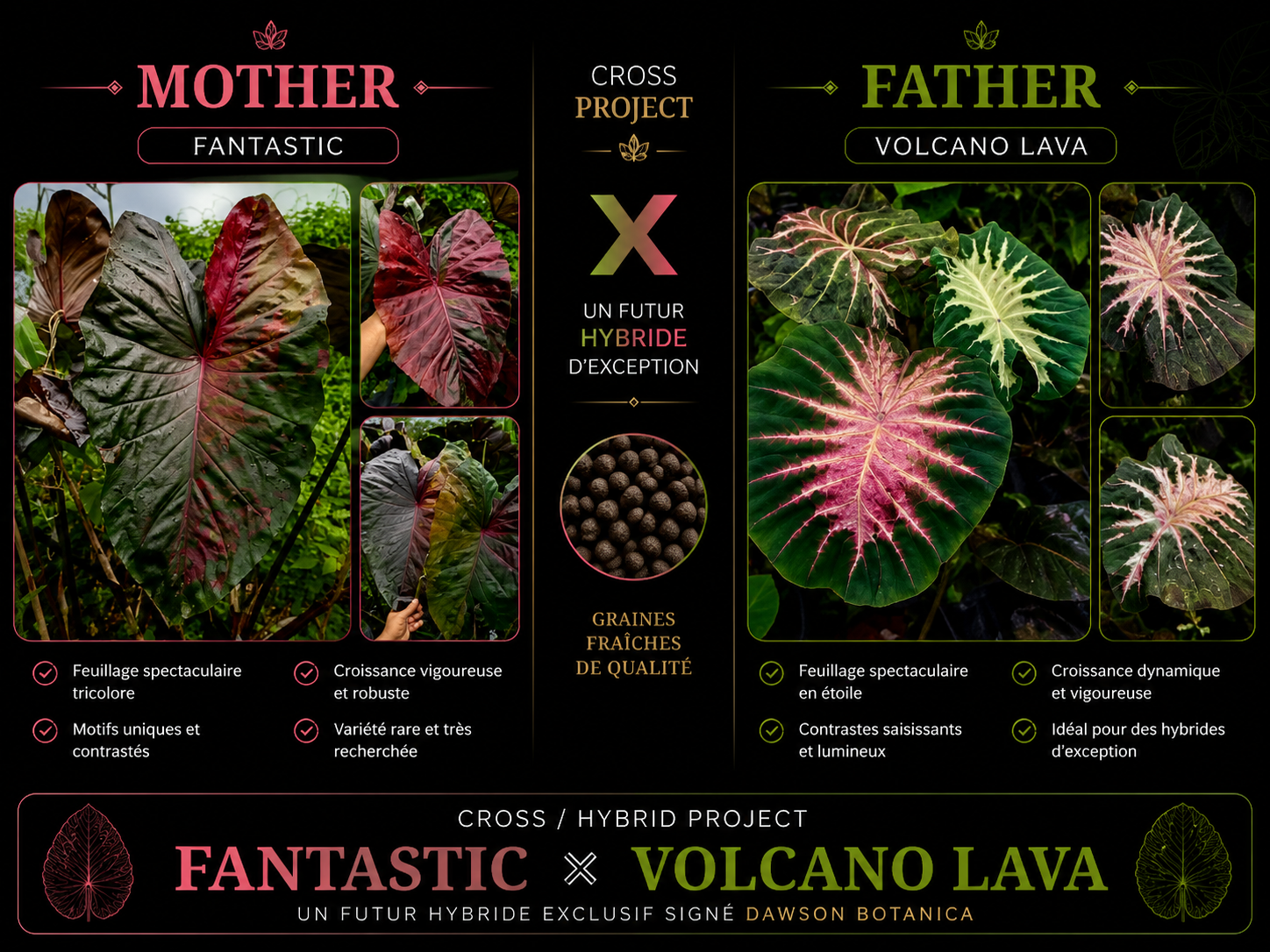 fantastic X volcano lava