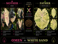 omen X white sand