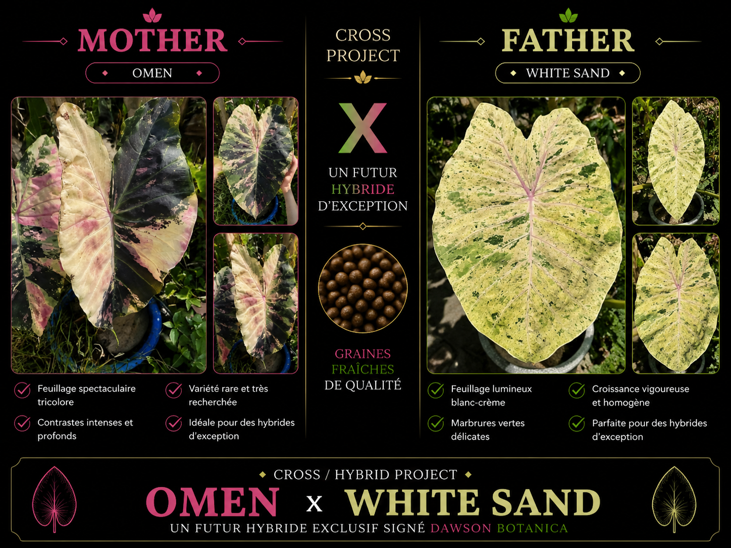 omen X white sand